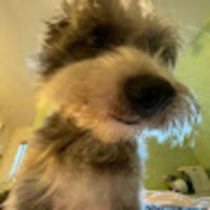 Meet your Posher, Lucy